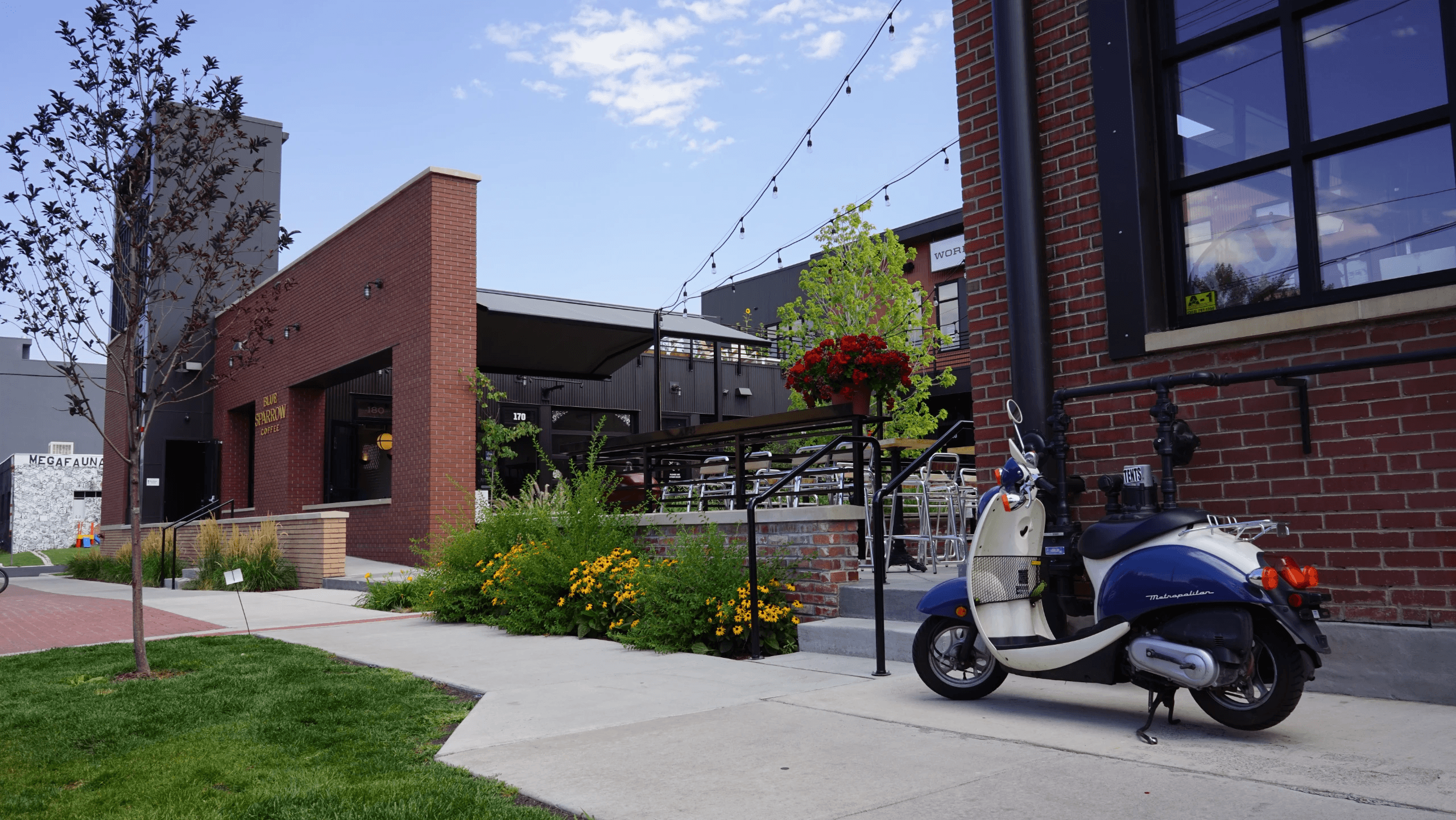 Blue Sparrow Coffee: Blake Street