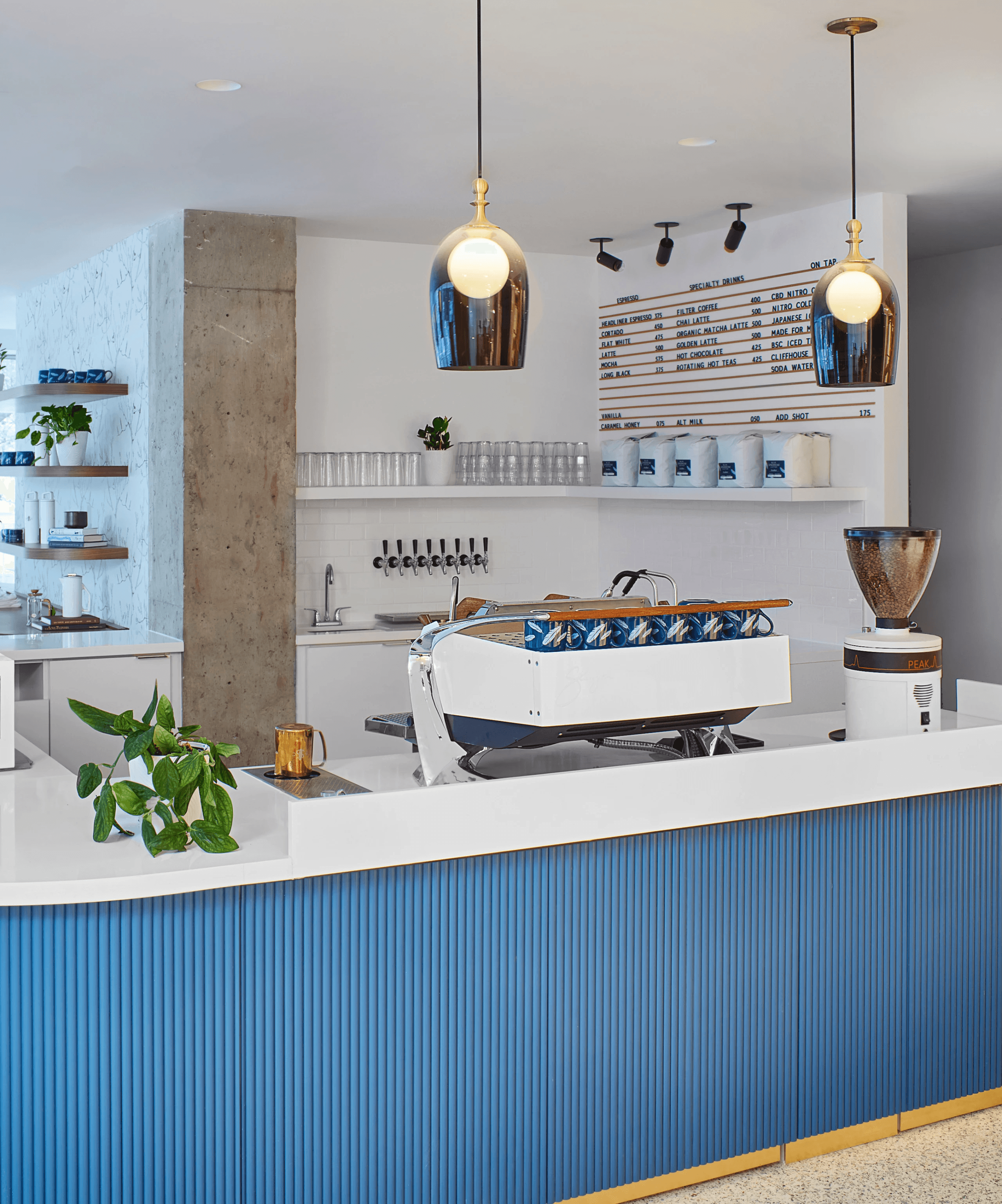 Blue Sparrow Coffee: Sherman Street