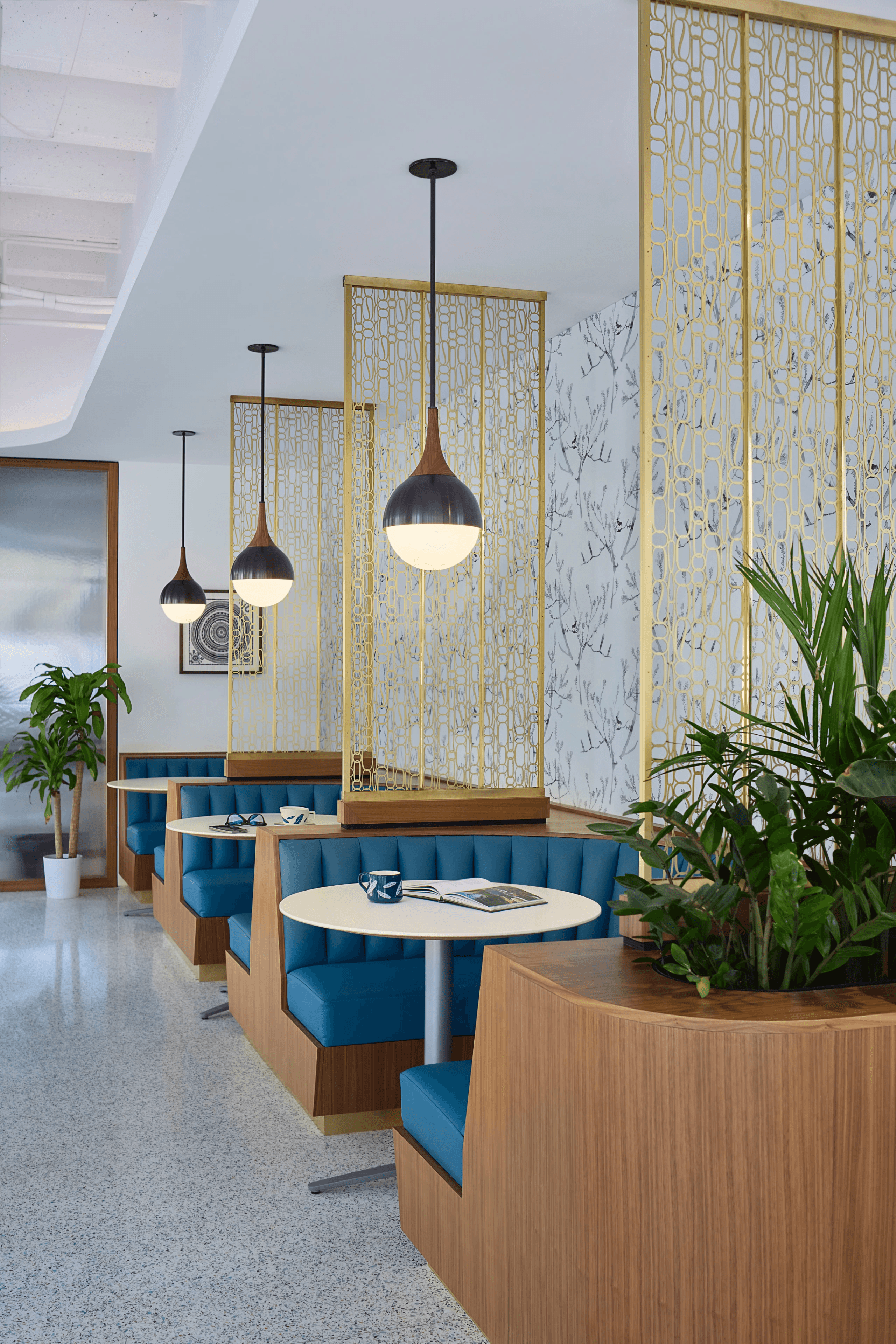 Blue Sparrow Coffee: Sherman Street